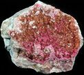 Roselite on Hematite-Included Calcite Crystals - Morocco #44768-1